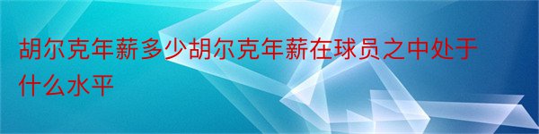 胡尔克年薪多少胡尔克年薪在球员之中处于什么水平